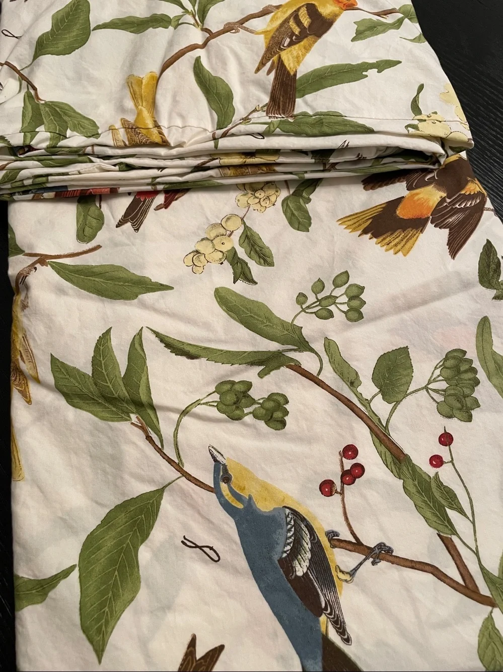 Pottery Barn Spring Sparrows Twin Duvet Cover organic cotton